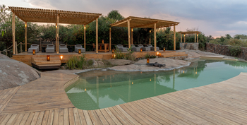 Sayari Camp: Pool mit Pool Lounge