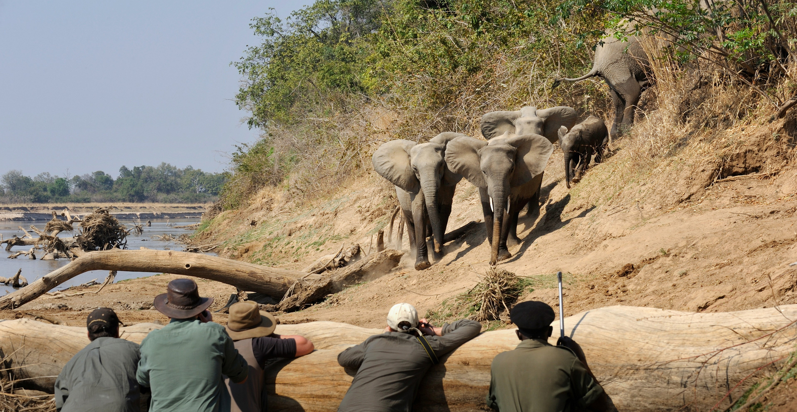 Shenton Safaris Shenton Safaris: Elephant Hide
