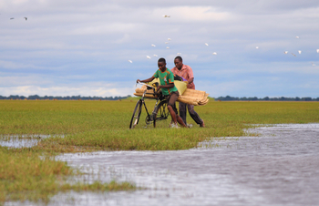 Shoebill Island Camp Shoebill Island Camp: Deep Water Biking